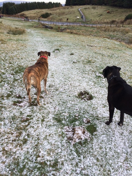 August 2015. It's all about food consumption and late nights at Bar Mugabe Nights