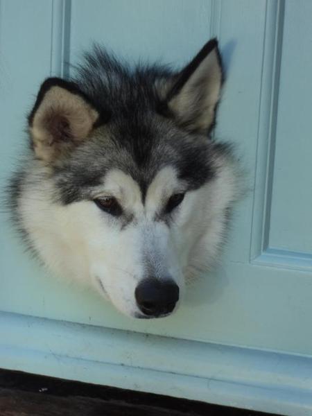 Brave Babes - Wrapping up for a Wonderful Winter