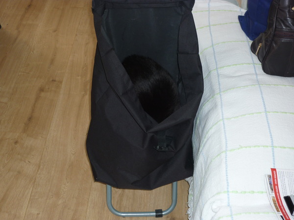 Tell us about (or show us!) the funniest places you've found your pet for a chance to win a Christmas hamper worth £100 and a copy of Oi Frog! by Kes Gray and Jim Field.