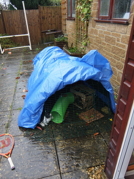 Rabbit hutches - where do I start!