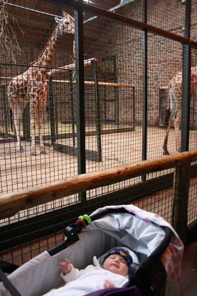 August 2015. It's all about food consumption and late nights at Bar Mugabe Nights