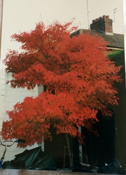 Acer Help Please!