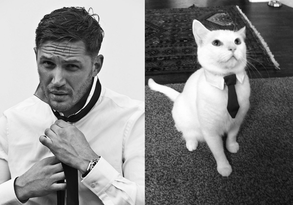 Swagger Inn thread 117 - (some) Wenches do Road Trips