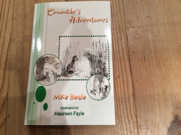 Simple chapter books for 6 and 7 year olds