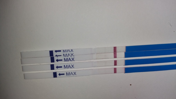 We are all a bit bonkers, worshipping the travelling womble conker, we rub the grad's bumps for luck and shag without scientific schmuck (Most of the time!) Its Just Shagging 56!