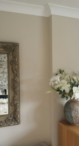 Valspar Premium Walls & Ceilings Paint Feedback Thread - £300 to be won for feedback NOW CLOSED