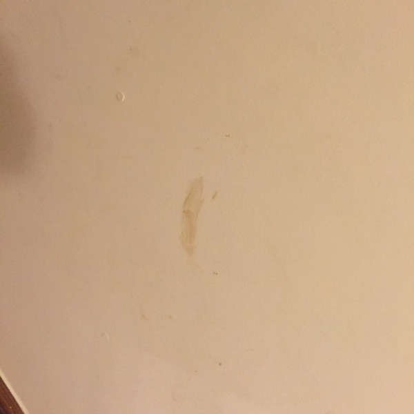 Valspar Premium Walls & Ceilings Paint Feedback Thread - £300 to be won for feedback NOW CLOSED