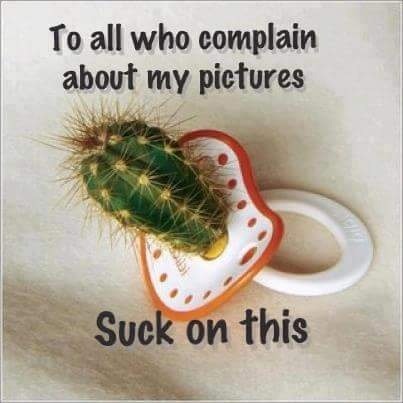 Christmas presents displayed across facebook?