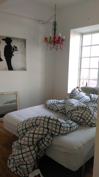 Colours/ideas for decorating a teenage boy's bedroom?