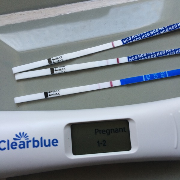 We're Still Gathered Round the Sacred Womble Conker for a Legendary BFP. Bring your Fur Babies, and Pray for Merely a Hint of Menses, it's Just Shagging (with science, sometimes) 55!