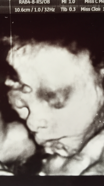 February 2016 Halfway mark: Flutters into kicks into thwacks!