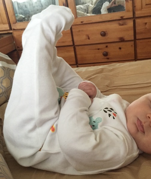 constipated baby... suggestions