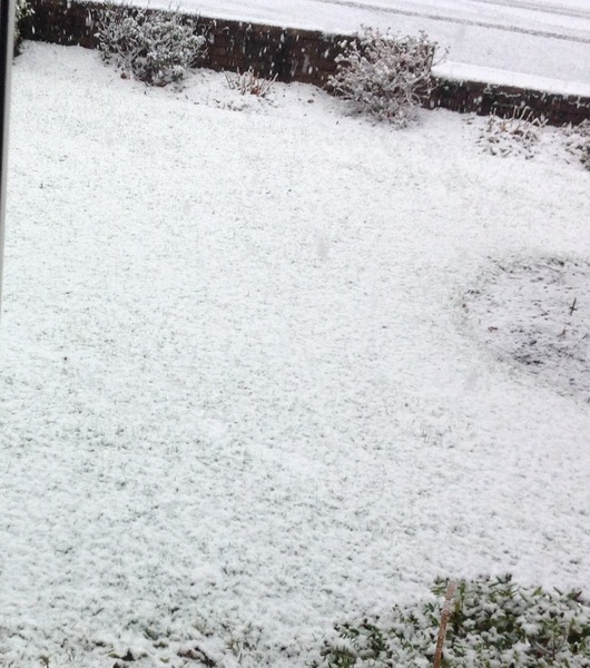To wish the snow would go away?