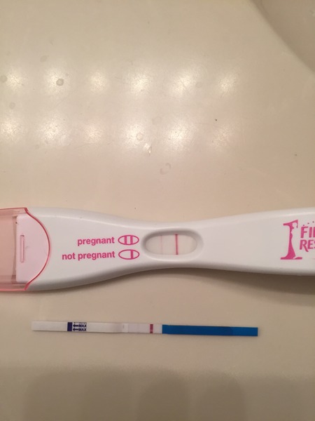 We're Still Gathered Round the Sacred Womble Conker for a Legendary BFP. Bring your Fur Babies, and Pray for Merely a Hint of Menses, it's Just Shagging (with science, sometimes) 55!