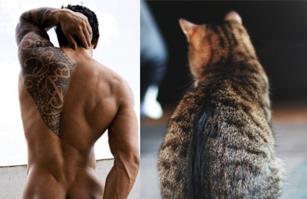 Swagger Inn thread 117 - (some) Wenches do Road Trips