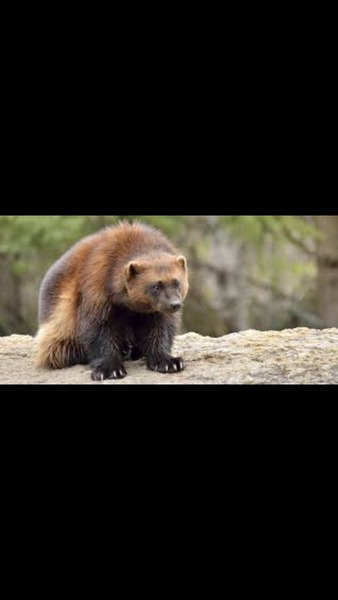 Ridiculous things you've only recently realised you've been wrong about your entire life