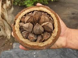 Ridiculous things you've only recently realised you've been wrong about your entire life