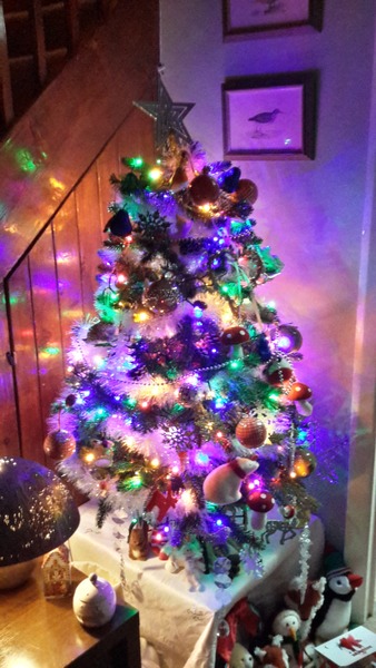Anyone have their decs up yet?