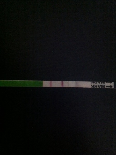 We are all a bit bonkers, worshipping the travelling womble conker, we rub the grad's bumps for luck and shag without scientific schmuck (Most of the time!) Its Just Shagging 56!