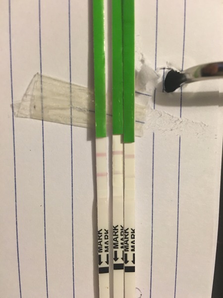 Possibly first positive ovulation test!!