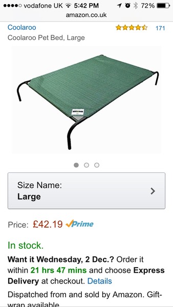 Can you recommend a good dog bed that is easy to keep clean?