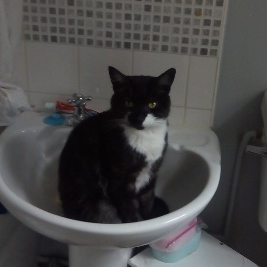 Tell us about (or show us!) the funniest places you've found your pet for a chance to win a Christmas hamper worth £100 and a copy of Oi Frog! by Kes Gray and Jim Field.