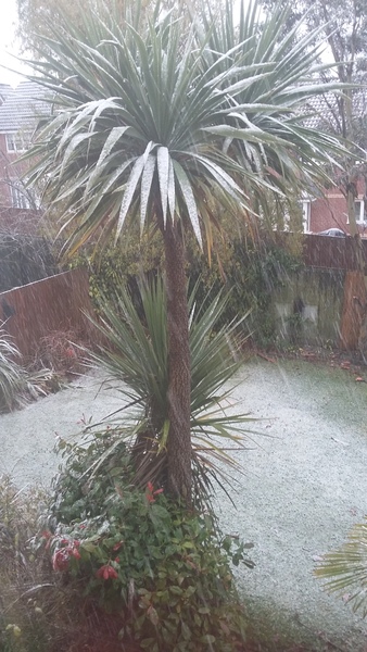 To wish the snow would go away?