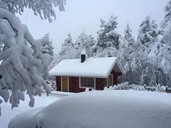 Swagger Inn Thread 116 - a thread for wenching, a thread for perving, a thread for ignoring the captions Livia writes on our pictures.