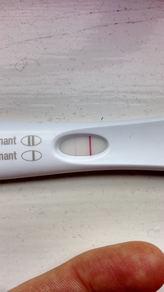 We are all a bit bonkers, worshipping the travelling womble conker, we rub the grad's bumps for luck and shag without scientific schmuck (Most of the time!) Its Just Shagging 56!