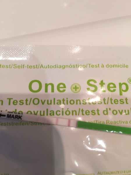 Is this a positive opk?