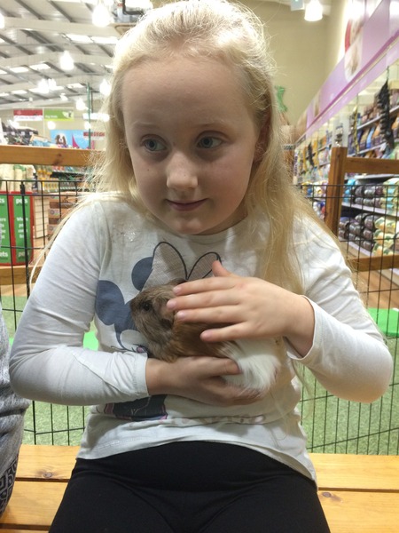 Find out what Mumsnetters thought of the My Pet Pals workshop at their local Pets at Home store NOW CLOSED