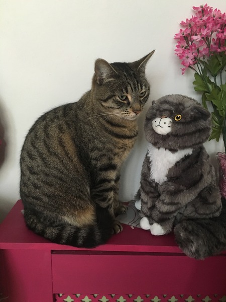 June 2013 - the terrible twos aren't so terrible