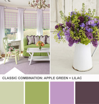 Colour Quandry