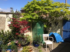 Acer Help Please!