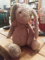 Bunny lost in Sutton!