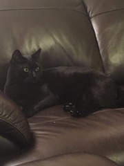 Meet our new addition