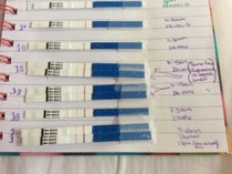 Any temping experts fancy having a look at my chart?