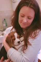 Our new puppy is here!!!