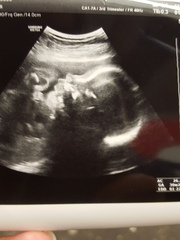 February 2016 Halfway mark: Flutters into kicks into thwacks!