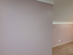 Valspar Premium Walls & Ceilings Paint Feedback Thread - £300 to be won for feedback NOW CLOSED