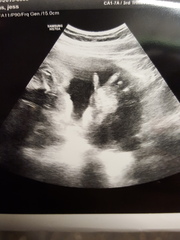 February 2016 Halfway mark: Flutters into kicks into thwacks!