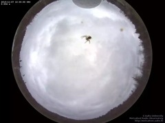 2015/16 Armchair Aurora watching