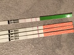 Sorry, iv got the crazies. Opk help.