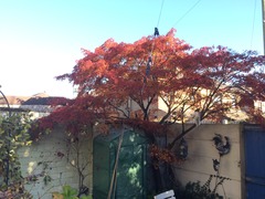 Acer Help Please!