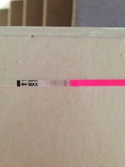 Waiting to try, and cycle a mess from the pill
