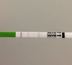 Ovulation test results, neg or pos?