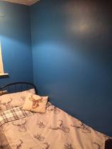 Valspar Premium Walls & Ceilings Paint Feedback Thread - £300 to be won for feedback NOW CLOSED