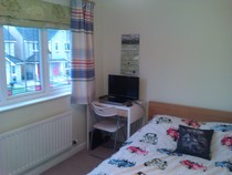 Colours/ideas for decorating a teenage boy's bedroom?