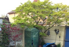 Acer Help Please!