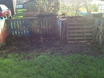 Allotment /Veg patch  thread 4 "Lettuce and Peppers and Pears OH MY!"